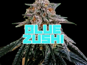 Venta: Blue Zushi (TheTenco cut)
