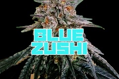Venta: Blue Zushi (TheTenco cut)