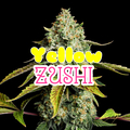 Vente: Yellow Zushi