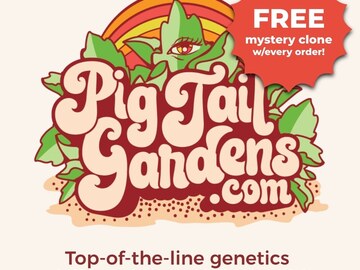 Venta: Jetfuel Cocktail (Pig Tail Gardens | +1 Free Mystery Clone)