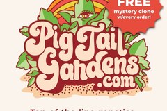 Vente: Jetfuel Cocktail (Pig Tail Gardens | +1 Free Mystery Clone)