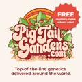 Vente: Jetfuel Cocktail (Pig Tail Gardens | +1 Free Mystery Clone)