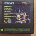 Sell: Red Rager (Red Pop X Falcon 9) - Exotic Genetix