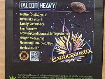 Vente: Falcon Heavy (Scotty 2 Hotty X Falcon 9) - Exotic Genetix