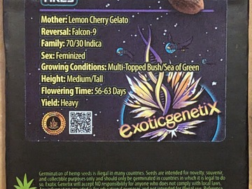 Vente: Yikes (lemon Cherry gelato X Falcon 9) - exotic genetix