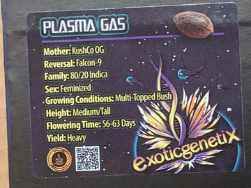 Sell: Plasma gas (KushCo OG X Falcon 9)  - exotic genetix
