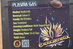 Plasma gas (KushCo OG X Falcon 9)  - exotic genetix
