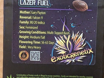 Vente: Lazer Fuel (Gary Payton x-falcon 9) - exotic genetix