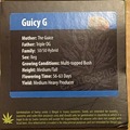 Guicy G (The Guice x Triple OG) - Exotic Genetix