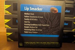 Lip smacker (sherb X strawberries and cream) exotic genetix