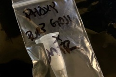 Vente: Phoxy (Purp Goji x Mt. Rainier) - Red Eyed Genetics