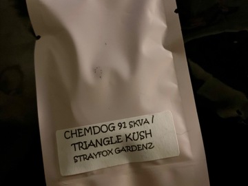 Vente: Chemdog 91 SKVA x Triangle Kush - Strayfox Gardenz
