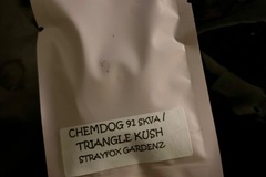 Venta: Chemdog 91 SKVA x Triangle Kush - Strayfox Gardenz