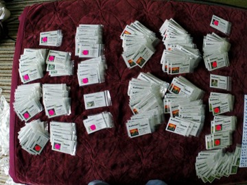 Sell: Kaliman Seeds, Entire 820 x Seeds, Last Remaining Stock.