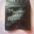 Auction: *Auction* Mad Dog NS23  - Masonic Seeds