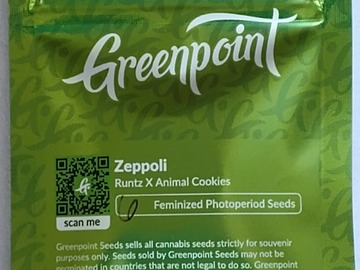 Sell: Green Point Seeds Zeppoli Runtz x Animal Cookies