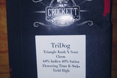 Sell: Crockett Family Farms : Tri Dog