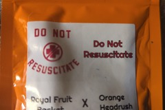 Venta: TERPFI3ND - Do Not Resuscitate