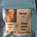 Venta: Terpfiend - Darwin #2