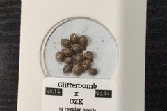 Vente: Seed Asylum - No.14  (Glitterbomb X OZK ) 13 regular seeds