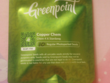 Enchères: *Auction* Copper Chem - Greenpoint Seeds