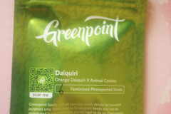 Subastas: *Auction* Daiquiri - Greenpoint seeds