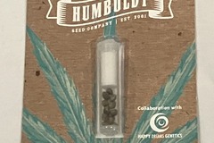 Subastas: The Bling Seeds FEM Humboldt Seed Company