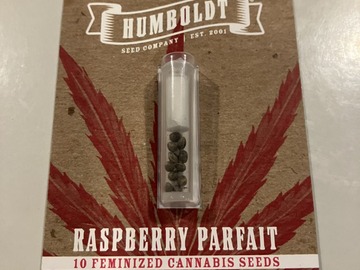 Auction: RASPBERRY PARFAIT Seeds FEM Humboldt Seed Company
