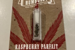 Vente: RASPBERRY PARFAIT Seeds FEM Humboldt Seed Company