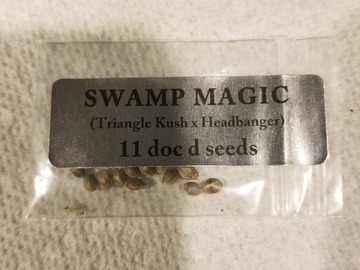 Vente: Doc D swamp magic