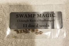 Sell: Doc D swamp magic
