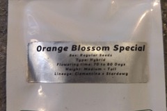 Sell: GREENPOINT- ORANGE BLOSSOM SPECIAL