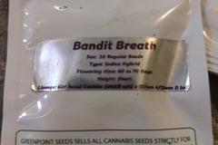 Venta: GREENPOINT- BANDIT BREATH