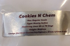 Vente: GREENPOINT- cookies N chem