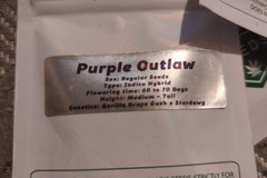 Vente: GREENPOINT- PURPLE OUTLAW