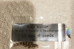 Sell: Doc D black blossom