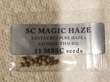 Sell: Doc D sc magic haze