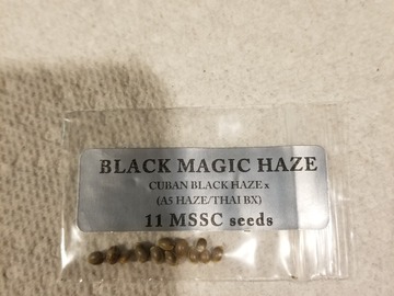 Sell: Doc D black magic haze