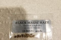 Sell: Doc D black magic haze