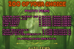 Venta: Feminized Seed Combo - 200 of your choice!