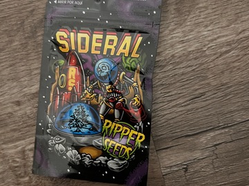 Sell: *SEALED* Ripper Seeds Sideral fem 3 pk