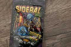 Sell: *SEALED* Ripper Seeds Sideral fem 3 pk