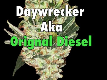 Sell: Daywrecker Diesel