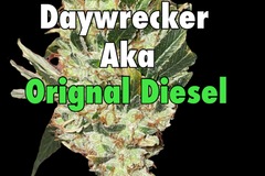 Sell: Daywrecker Diesel