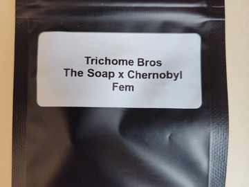 Subastas: Trichomes Bros- The Soap x Chernobyl