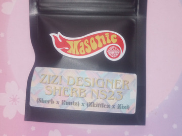 Vente: ZiZi Designer Sherb NS23 - Masonic Seeds