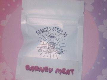 Vente: Barney Meat - Masonic Seeds