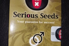 Sell: AK-47, The Original One Hitter by Serious Seeds, 11 reg. seeds!