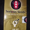 Venta: AK-47, The Original One Hitter by Serious Seeds, 11 reg. seeds!