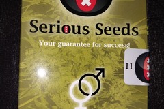 Sell: The Chronic by Serious Seeds, A Legendary Strain, 11 regs.